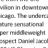 ApeQ