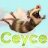 Ceyce