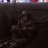 iehon